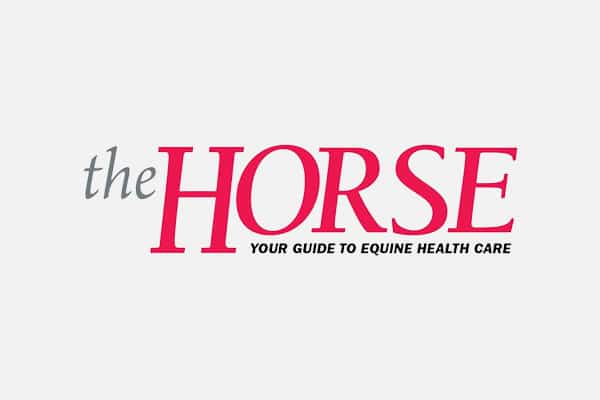Logo for "The Horse" magazine. The text reads: "the HORSE" in large font, with "YOUR GUIDE TO EQUINE HEALTH CARE" in smaller font underneath, ideal for any veterinarian or animal hospital. The background is plain light gray.