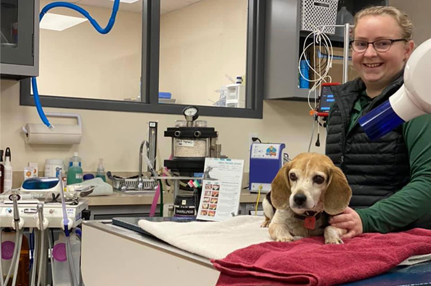 A beagle lies on a red towel on a veterinary exam table while a smiling person in glasses and a black vest stands beside them in an Animal Hospital exam room filled with medical equipment and supplies.