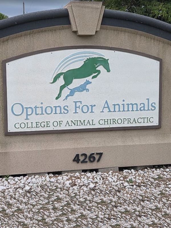 Sign reading “Options For Animals College of Animal Chiropractic” with silhouettes of a horse jumping over a dog, set on a stone background with the number 4267 below.