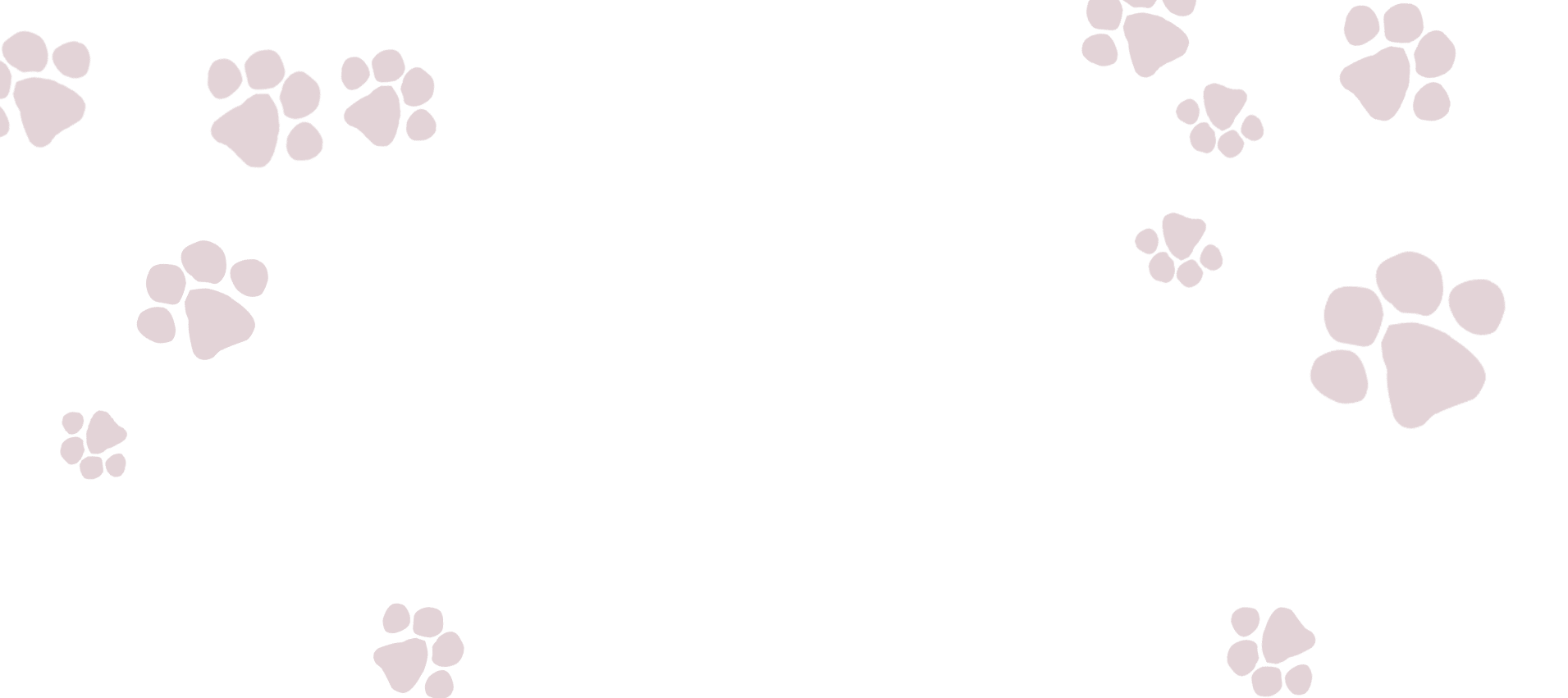 Light background with scattered pale pink animal paw prints in the corners and along the edges, leaving the center open—perfect for showcasing your Vet or Pet Clinic information.