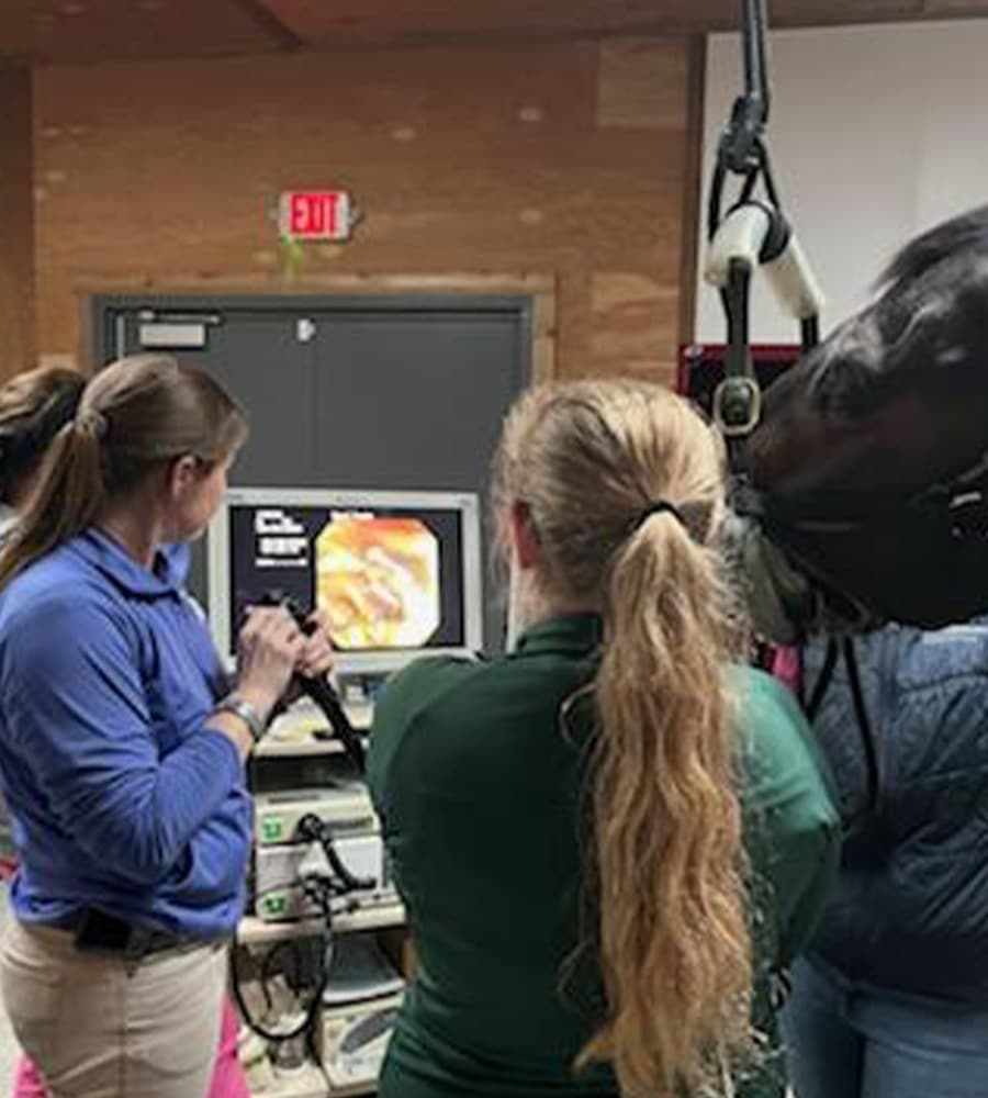 Three people, including a veterinarian, examine an image on a monitor while performing a medical procedure on a horse in a pet clinic. Medical equipment is visible, and the setting appears to be a veterinary clinic.